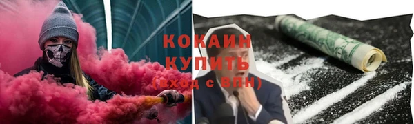 соль ск Бородино