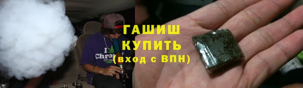 индика Балахна