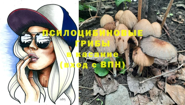 винт Бугульма