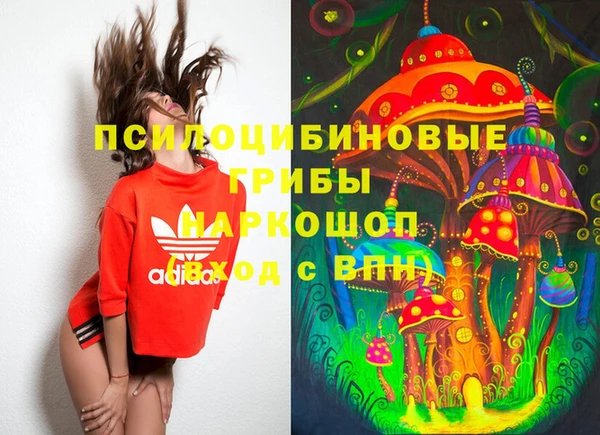 метадон Верея