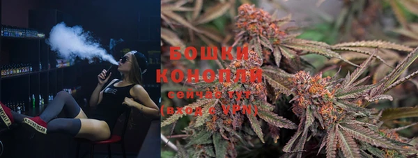 соль ск Бородино