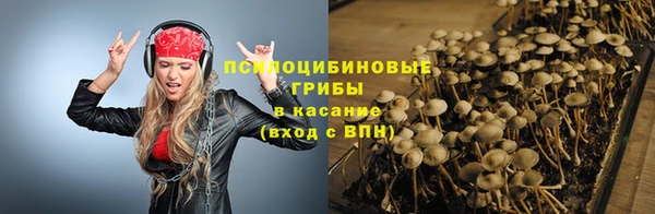 соль ск Бородино